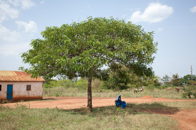 Alenga, Uganda